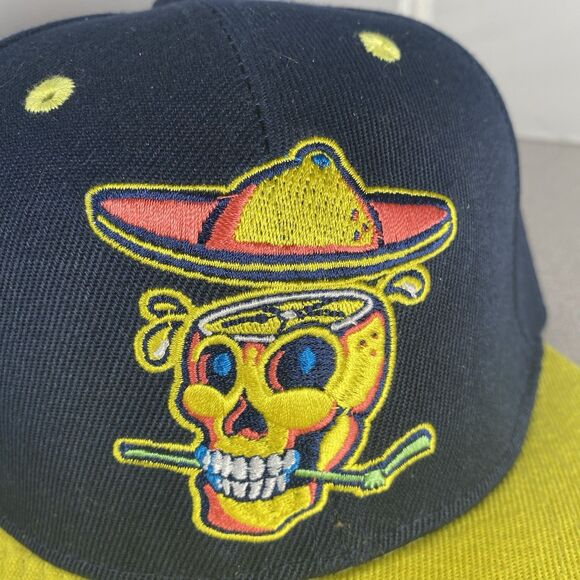 Lynchburg Hillcats Copa de la Diversi Hat Baseball Cap Skull Skeleton Strapback - Picture 2 of 6